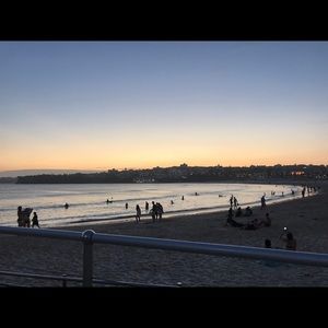 Meet your Posher, Allie